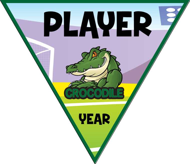 Crocodlle - Triangle Soccer Banners