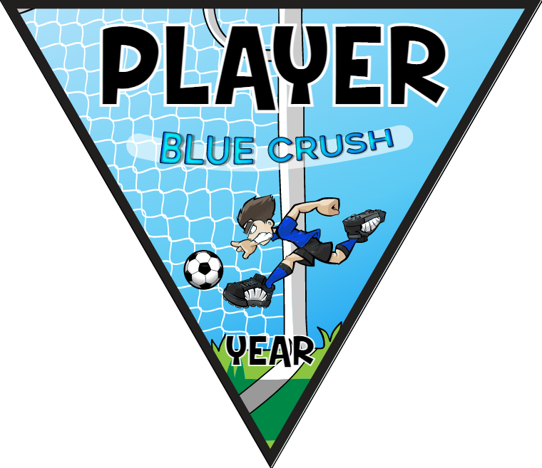 Blue Crush - Triangle Soccer Banners