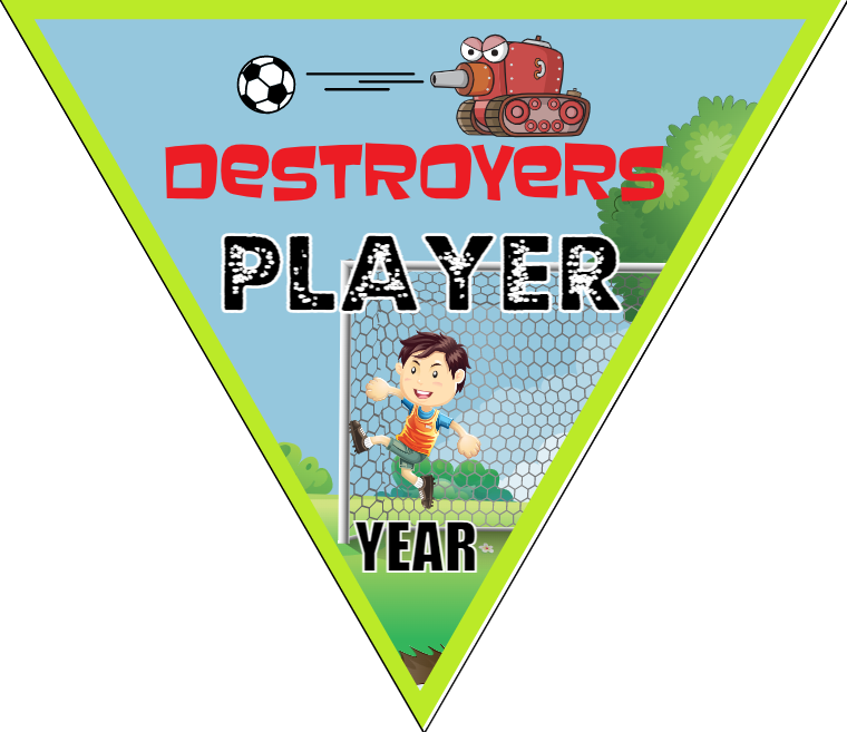 Destroyers - Triangle Soccer Banners