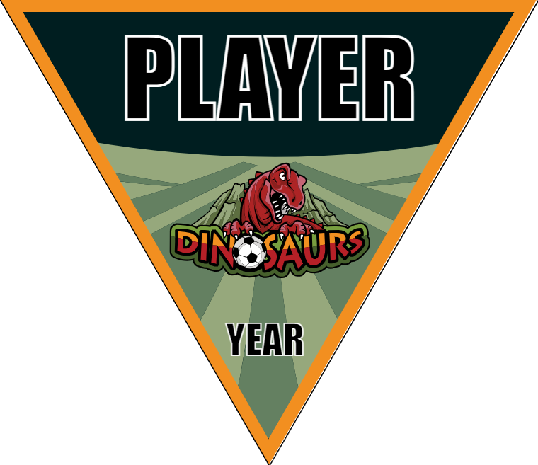 Dinosaurs - Triangle Soccer Banners