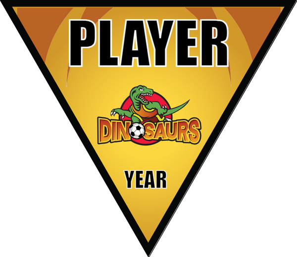 Dinosaurs 2 - Triangle Soccer Banners
