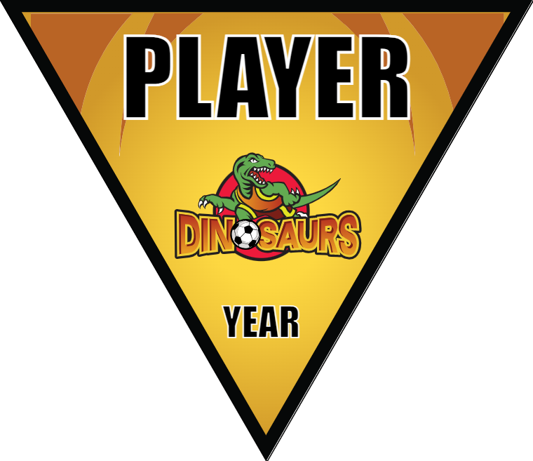 Dinosaurs 2 - Triangle Soccer Banners