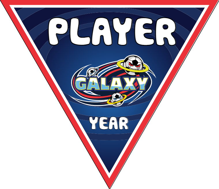Galaxy - Triangle Soccer Banners