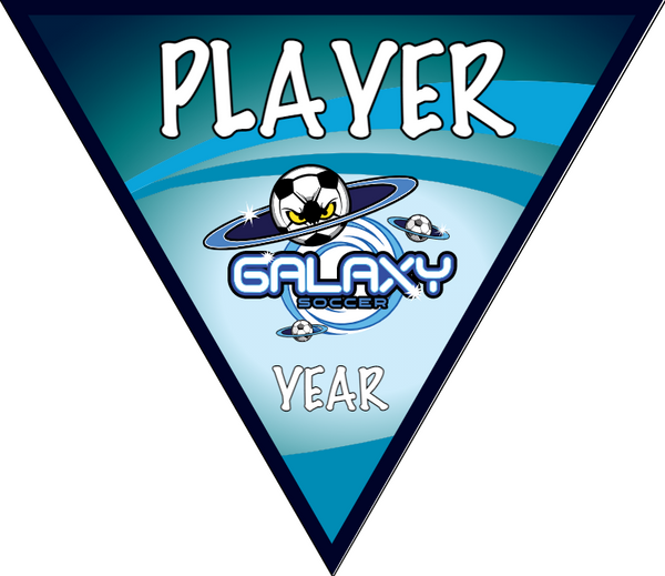 Galaxy 2 - Triangle Soccer Banners
