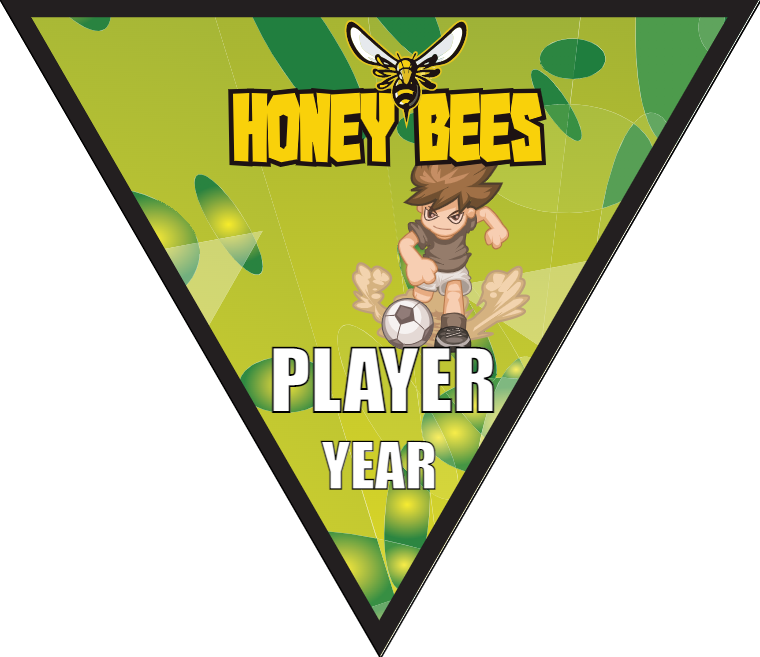 Honey Bees - Triangle Soccer Banners