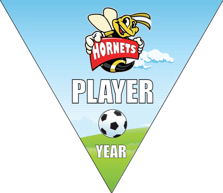 Hornets - Triangle Soccer Banners