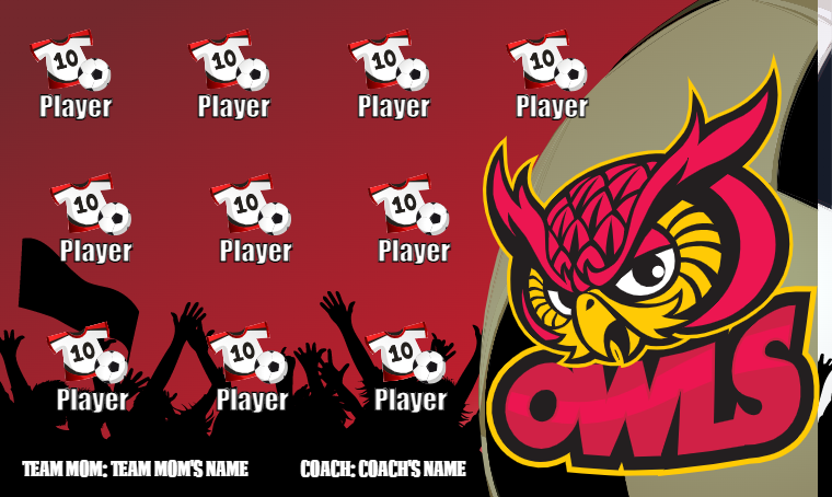 Owls - Soccer Banner