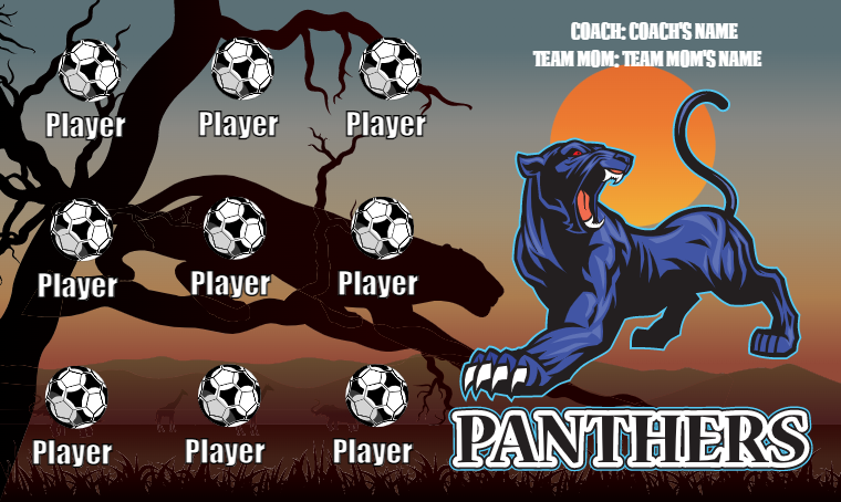 Panthers - Soccer Banner