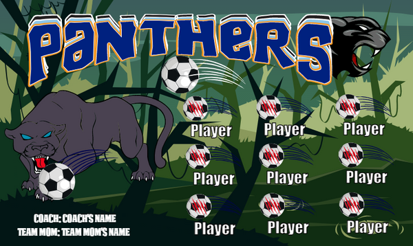 Panthers - Soccer Banner