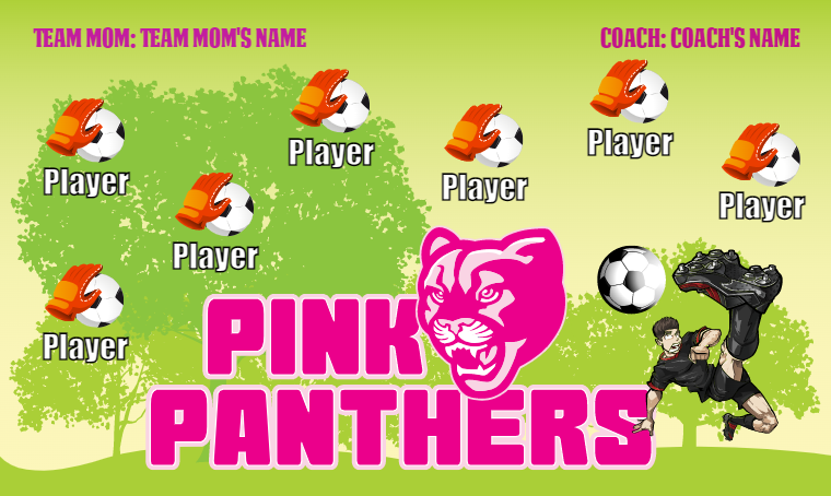 Pink Panthers 2 - Soccer Banner