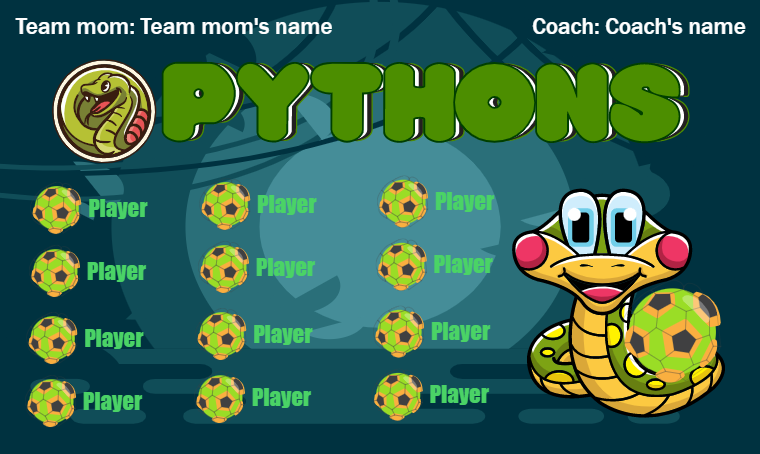 Pythons - Soccer Banner – Team Sport Banners