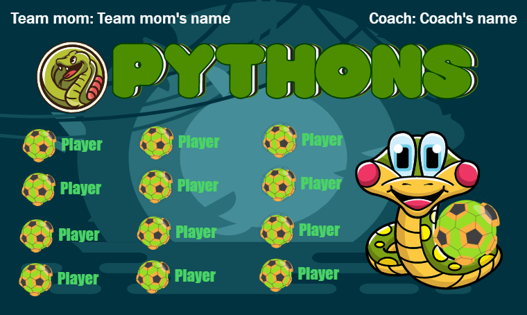 Pythons - Soccer Banner