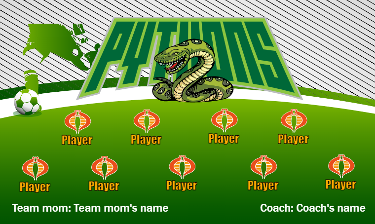 Python Sports Team Logo Pythons 2 - Soccer Banner – Team Sport Banners