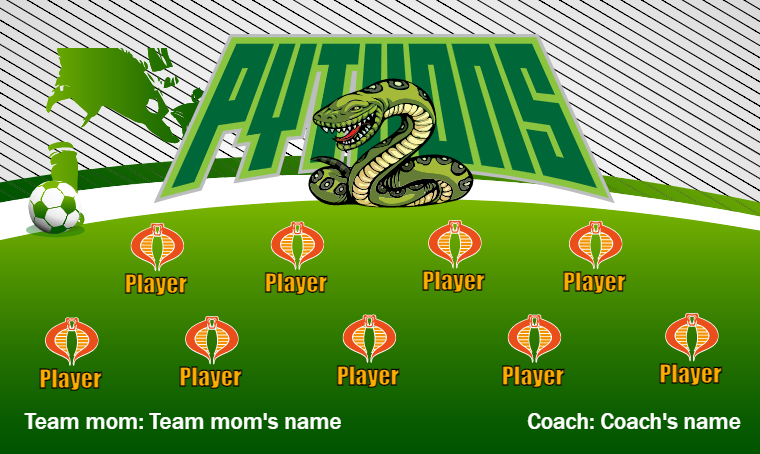 Pythons 2 - Soccer Banner