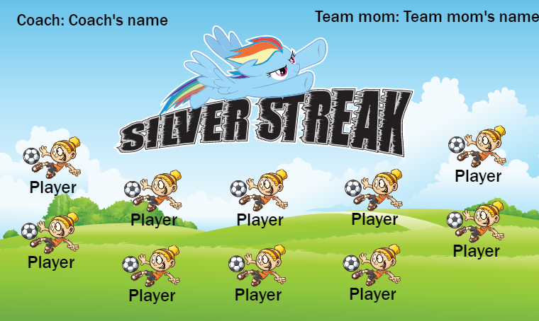 Silver Streak - Soccer Banner