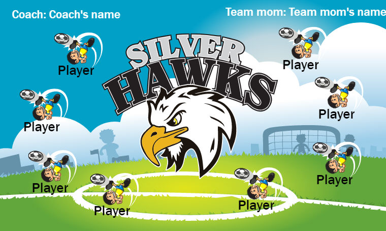 Silver Hawks - Soccer Banner