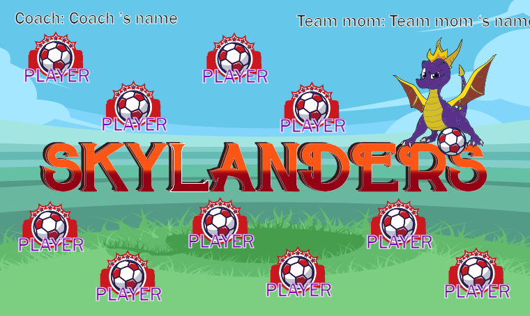 Skylanders - Soccer Banner