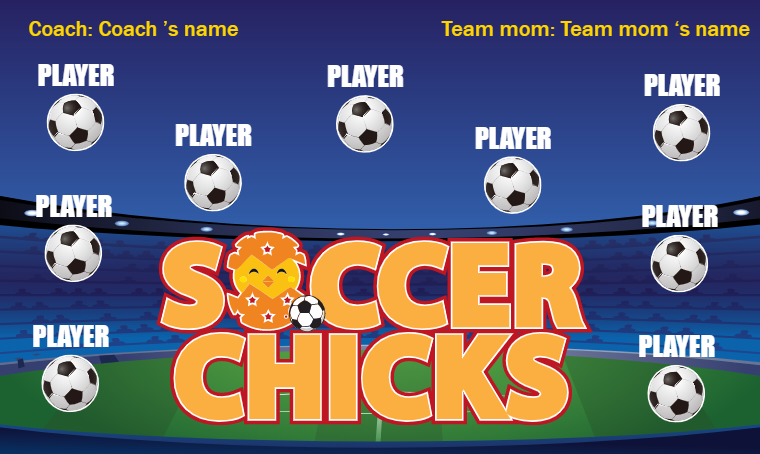 Soccer Chicks - Soccer Banner