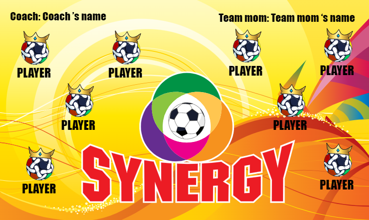 Synergy - Soccer Banner