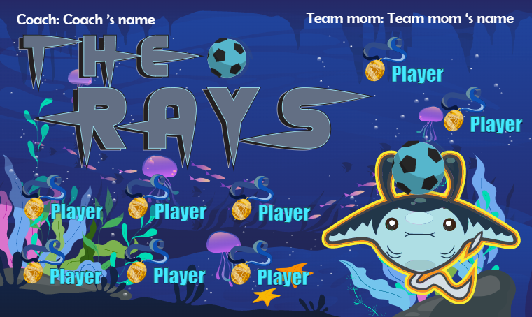 The Rays - Soccer Banner