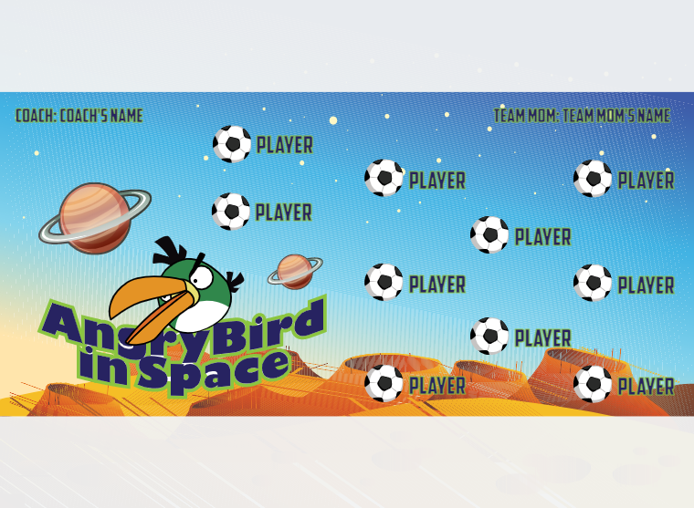 Angry Birds Space 1 - Soccer - Pole Pocket Banner