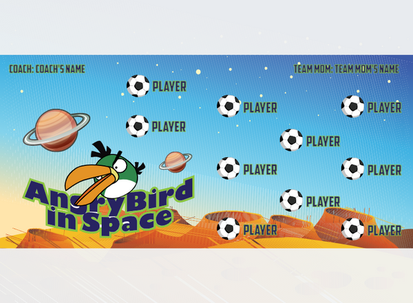 Angry Birds Space 1 - Soccer - Pole Pocket Banner