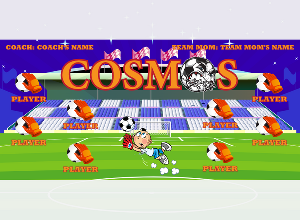 Cosmos - Soccer - Pole Pocket Banner