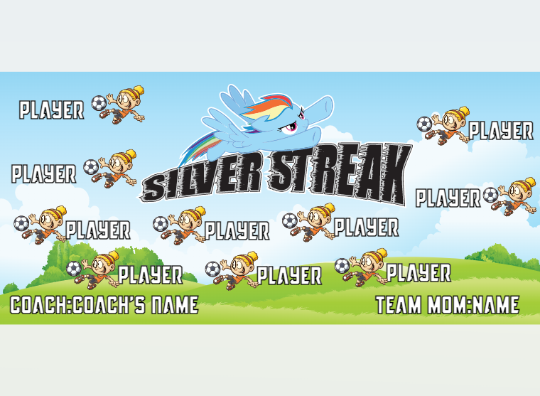 Silver Streak - Soccer - Pole Pocket Banner