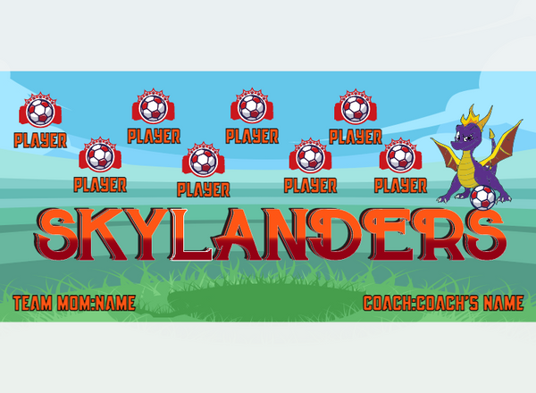 Skylanders - Soccer - Pole Pocket Banner