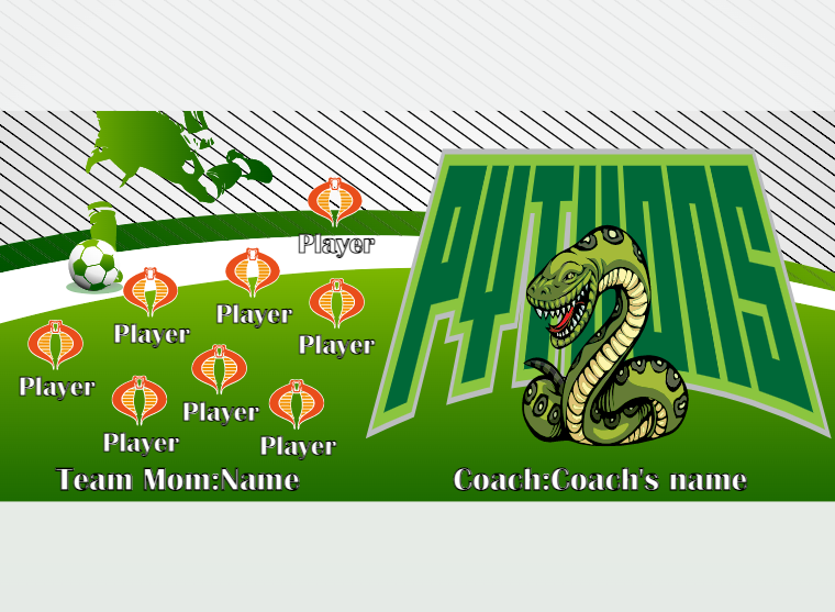 Pythyons - Soccer - Pole Pocket Banner