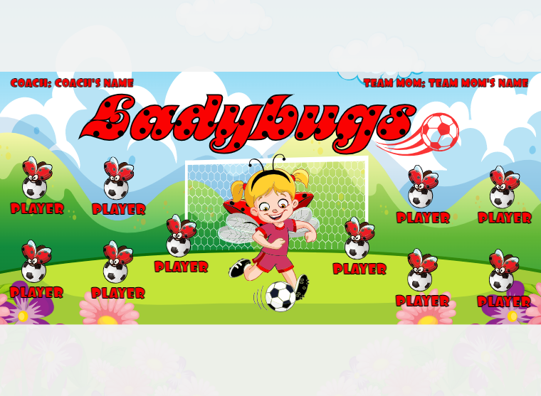 Ladybugs - Soccer - Pole Pocket Banner