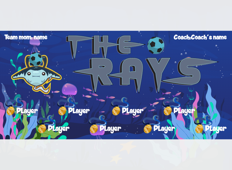 THE Rays - Soccer - Pole Pocket Banner