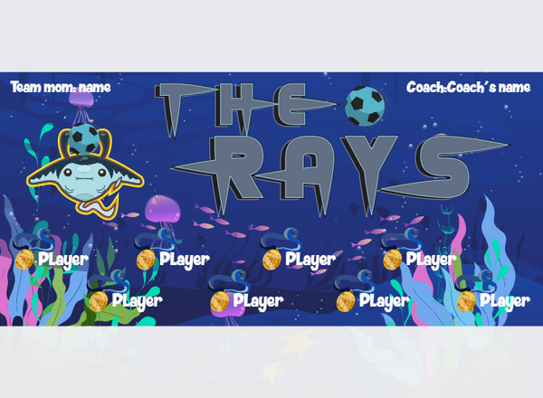 THE Rays - Soccer - Pole Pocket Banner