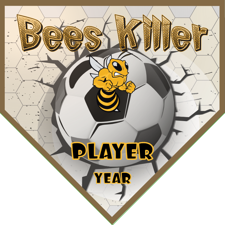Bees Killer - Homeplate Soccer Pennant
