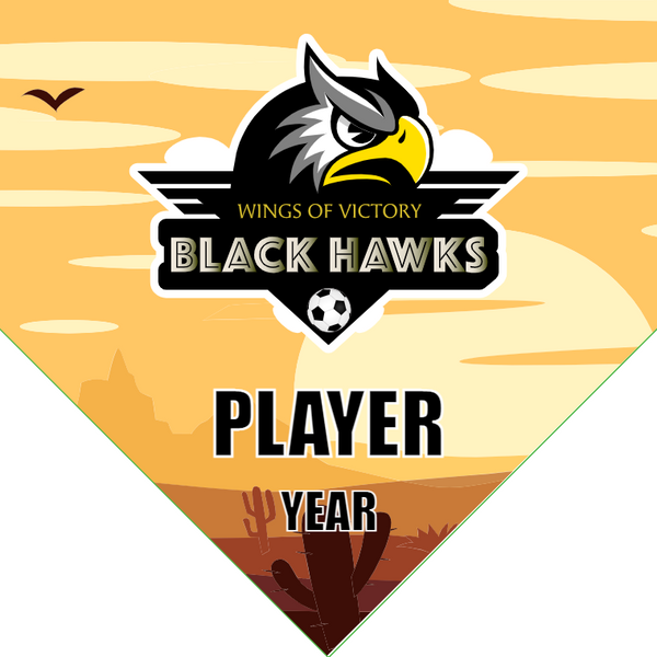 Black Hawks - Homeplate Soccer Pennant