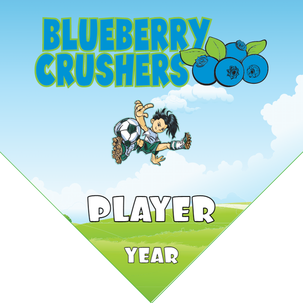 Blueberry Crushers - Homeplate Soccer Pennant