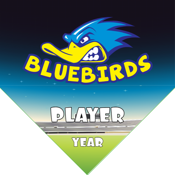Bluebirds - Homeplate Soccer Pennant