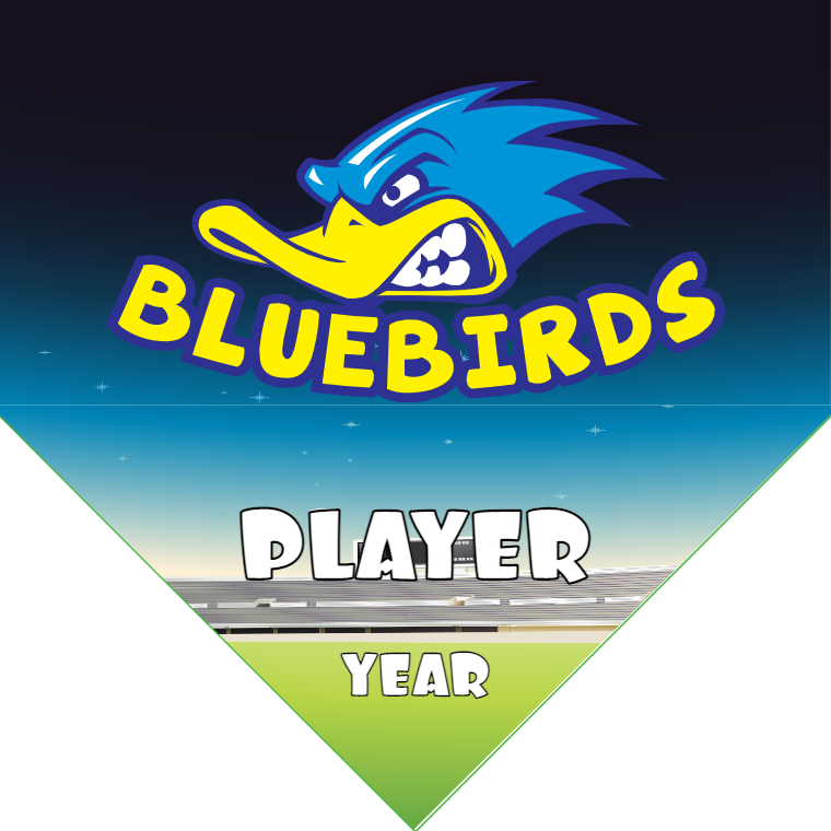 Bluebirds - Homeplate Soccer Pennant