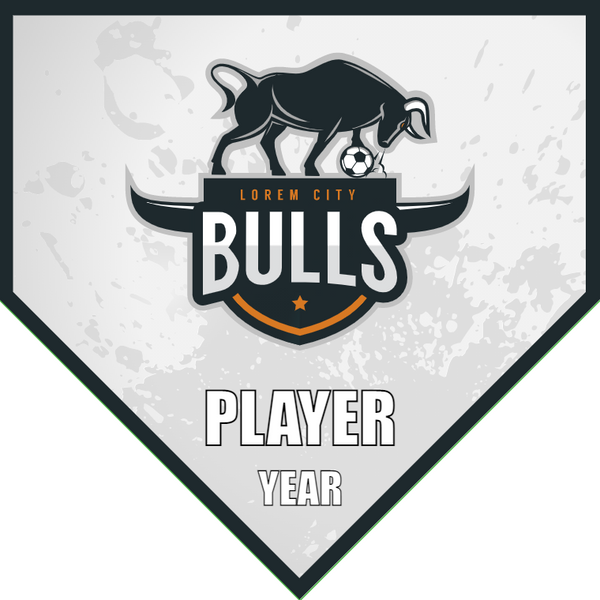 Bulls - Homeplate Soccer Pennant