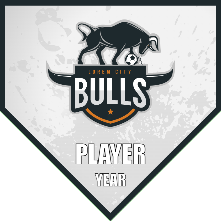 Bulls - Homeplate Soccer Pennant