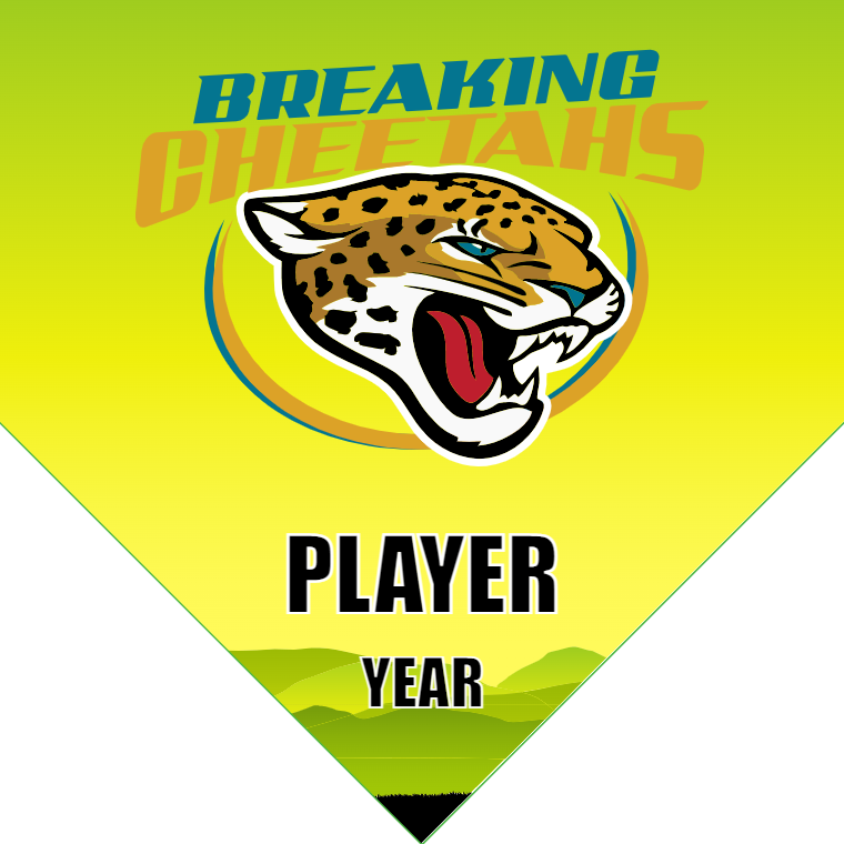 Breaking Cheetahs - Homeplate Soccer Pennant