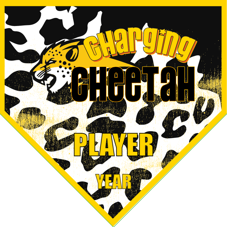 Charging Cheetah - Homeplate Soccer Pennant