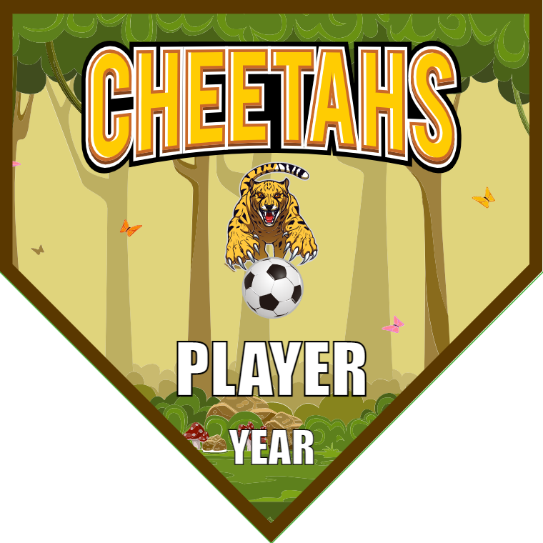Cheetahs - Homeplate Soccer Pennant