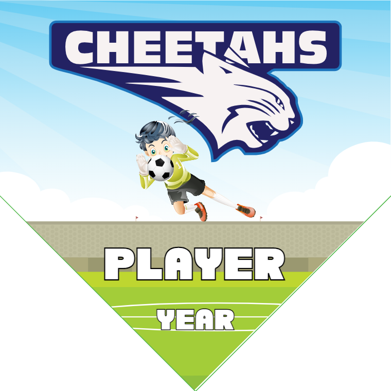 Cheetahs 2 - Homeplate Soccer Pennant