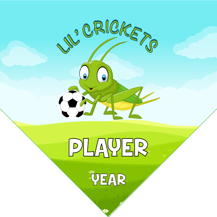 Lil'Crickets - Homeplate Soccer Pennant