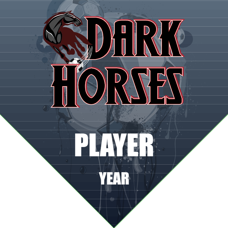 Dark Horses 2 - Homeplate Soccer Pennant