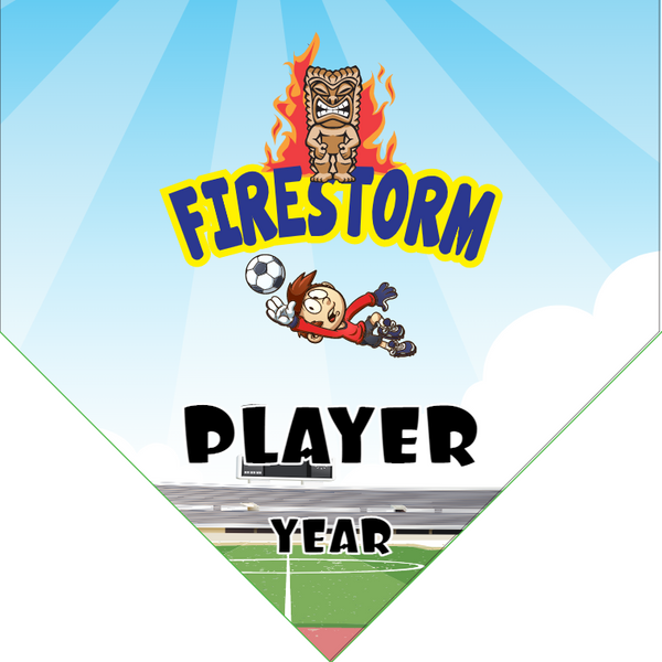 FireStorm - Homeplate Soccer Pennant