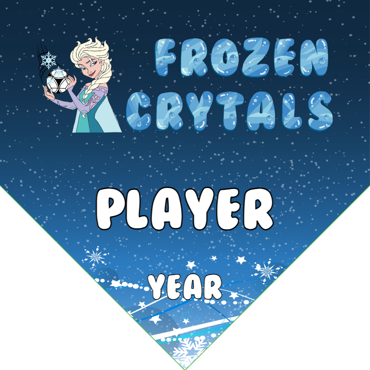 Frozen Crytals - Homeplate Soccer Pennant