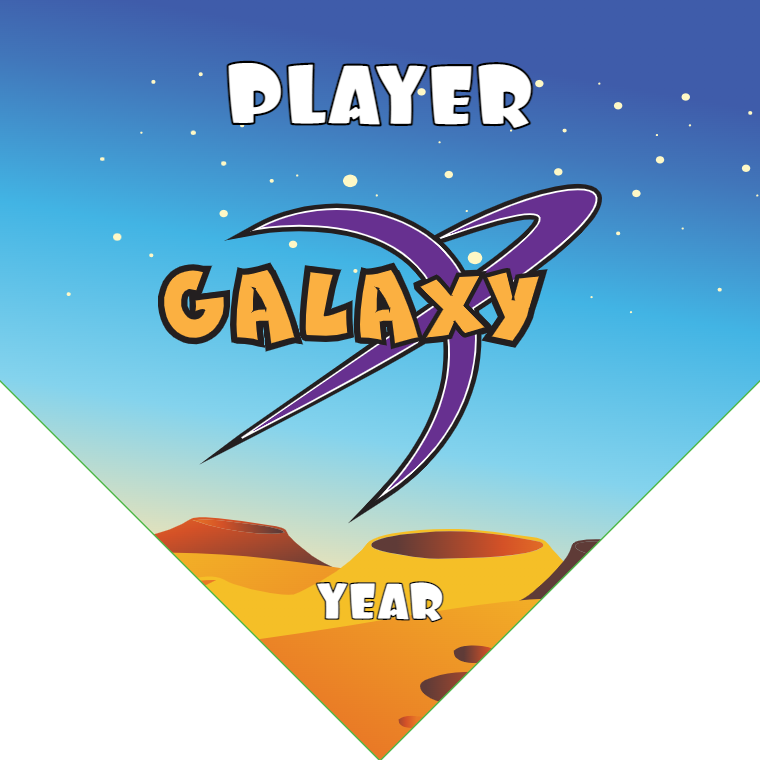 Galaxy - Homeplate Soccer Pennant
