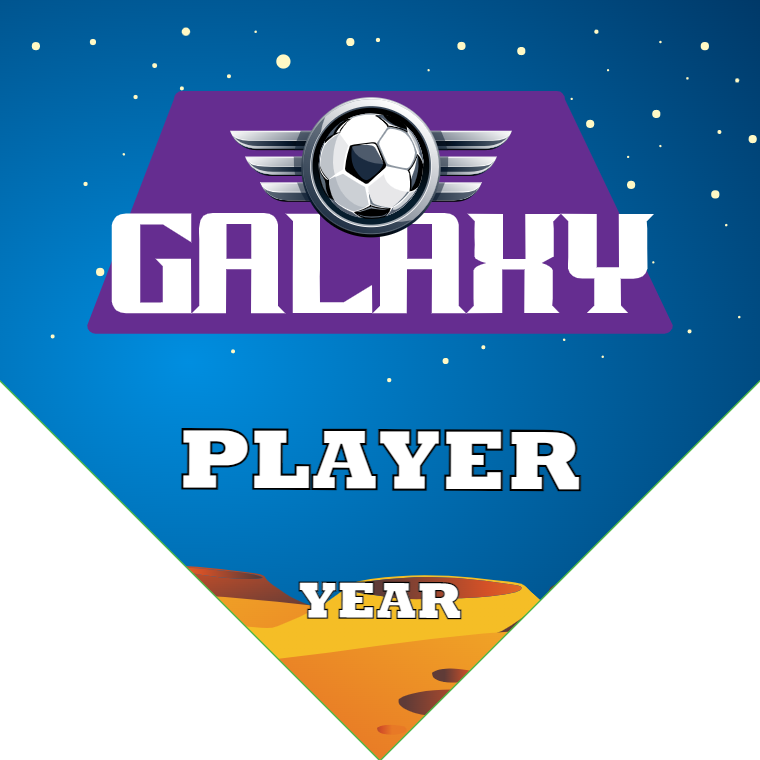 Galaxy 2 - Homeplate Soccer Pennant